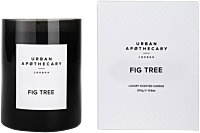 Urban Apothecary Fig Tree Luxury Scented Candle