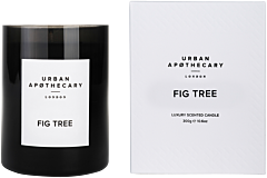 Urban Apothecary Fig Tree Luxury Scented Candle