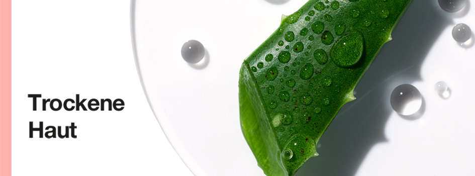 Frisches Aloe-Vera-Blatt mit Wassertropfen auf weißem Hintergrund. Links steht der Text 'Trockene Haut' mit einem rosafarbenen Streifen am Rand.